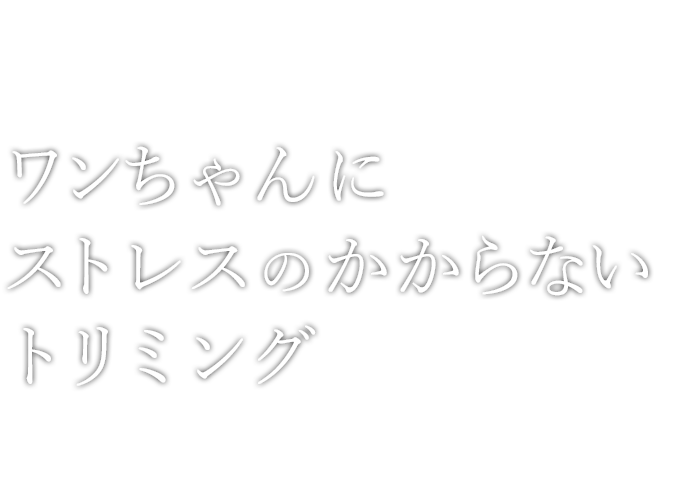 ワンちゃんにストレスのかからないトリミング